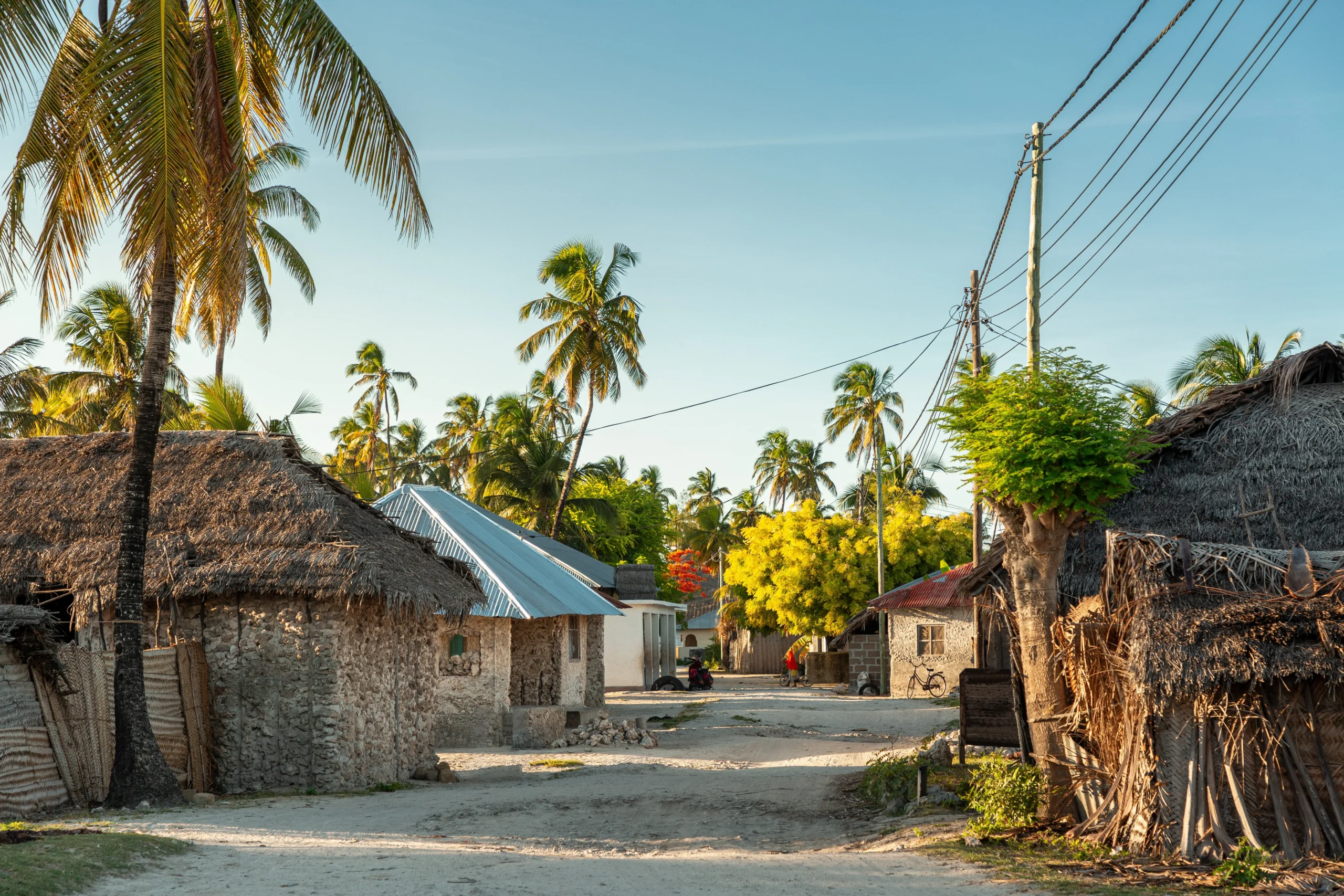 Home empty,street,with,palm,trees,in,african,village,jambiani,,zanzibar