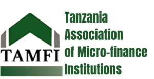 About tamfi logo2 1